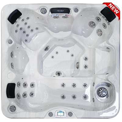 Avalon-X EC-849LX hot tubs for sale in Iowa City